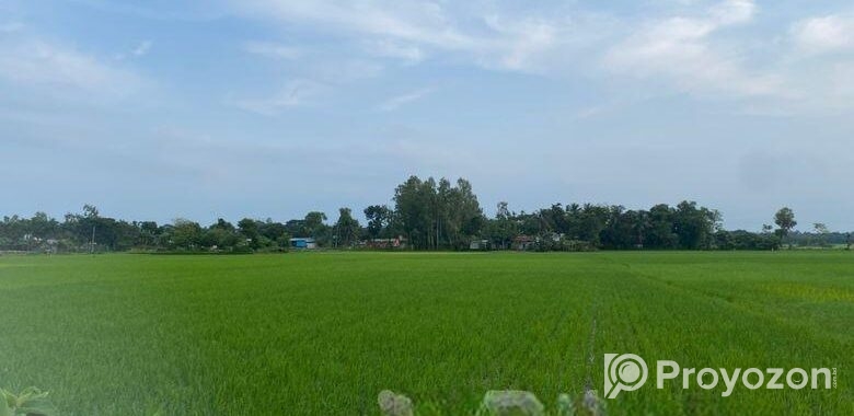 জামালপুরে ৫১.৪ কাঠা জমি বিক্রি হবে