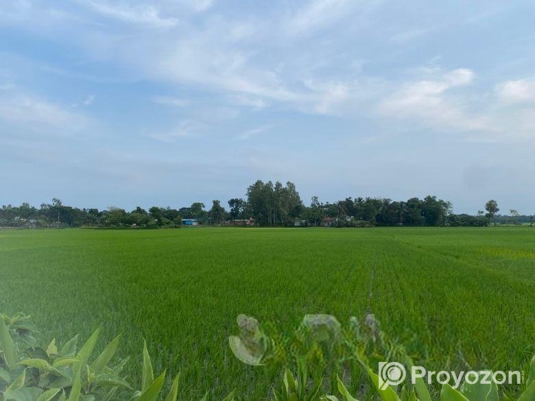 জামালপুরে ৫১.৪ কাঠা জমি বিক্রি হবে