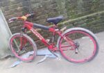 Duranta Bicycle for sale