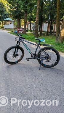 Phoenix Bicycle