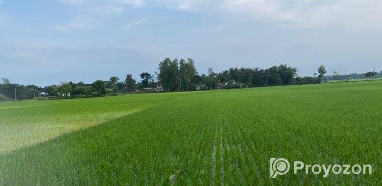 জামালপুরে ৫১.৪ কাঠা জমি বিক্রি হবে