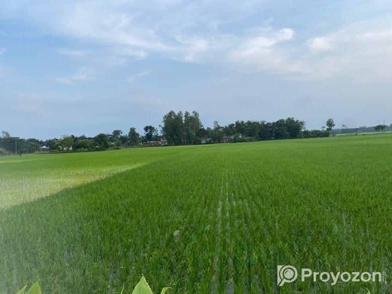 জামালপুরে ৫১.৪ কাঠা জমি বিক্রি হবে