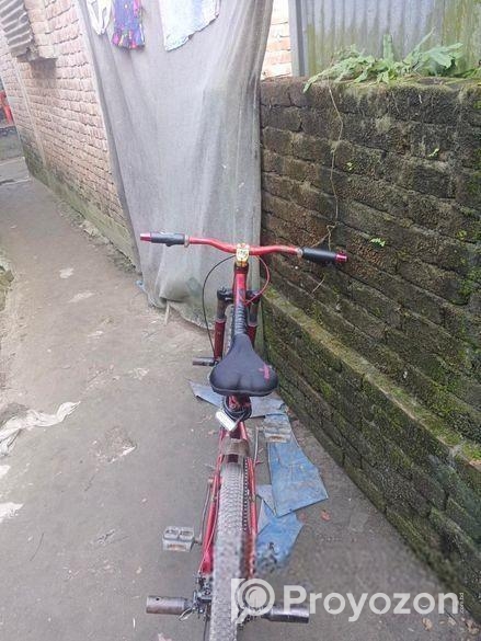 Duranta Bicycle for sale