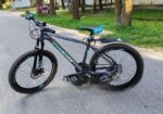 Phoenix Bicycle