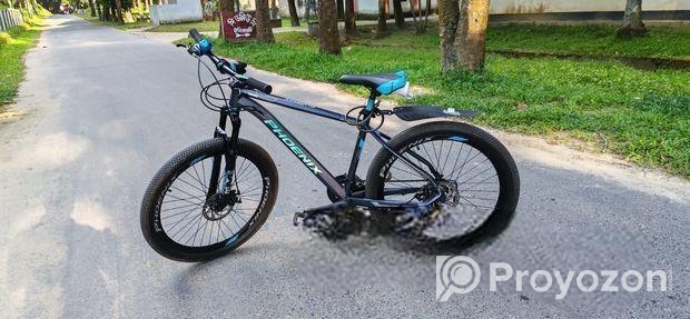 Phoenix Bicycle