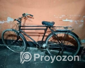 fitted-86_2025-10-01_12-35-52