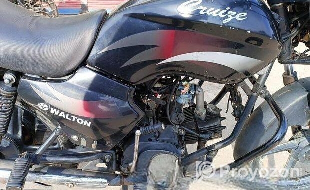 Walton Cruize 2012