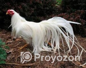 fitted-86_2025-10-20_10-07-49