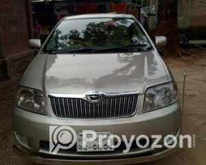 fitted-88_2025-10-01_12-36-44
