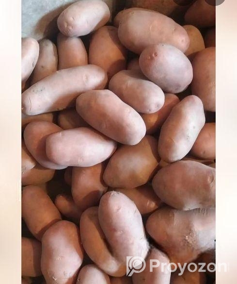 স্টিক আলু