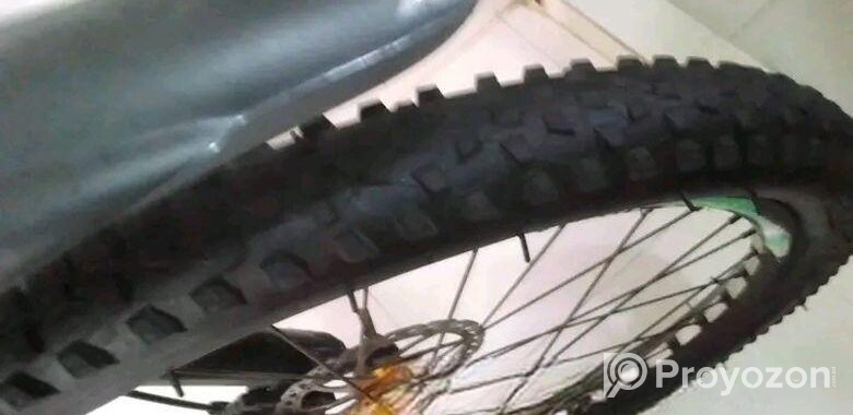 Duranta Bicycle for sale