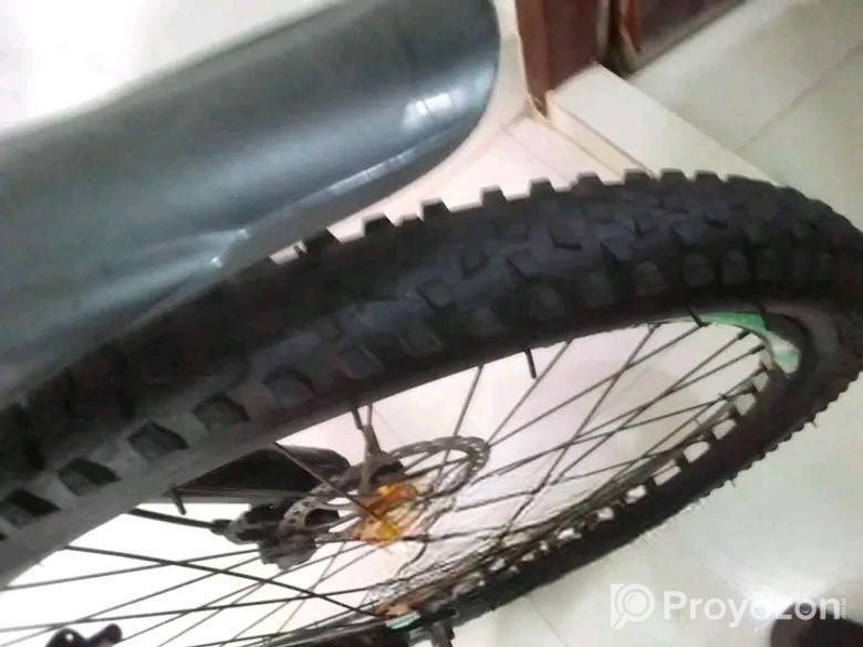 Duranta Bicycle for sale