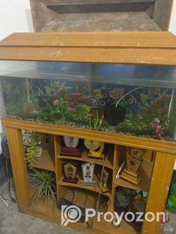 একটি মাছের একুরিয়াম