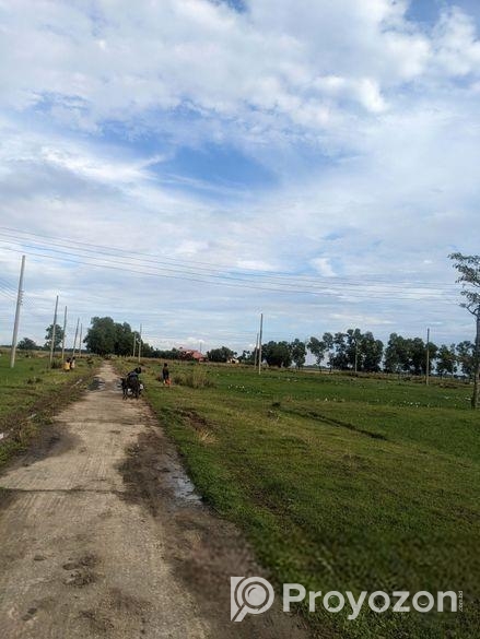 বটেশ্বরের ওয়ালি সিটিতে প্লট