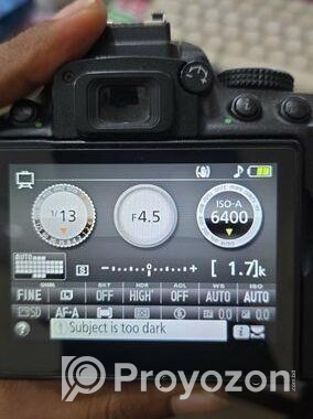 Nikon D5300 with 70-300