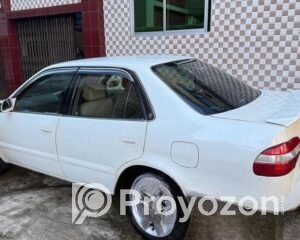 fitted-8_2025-10-22_09-21-47
