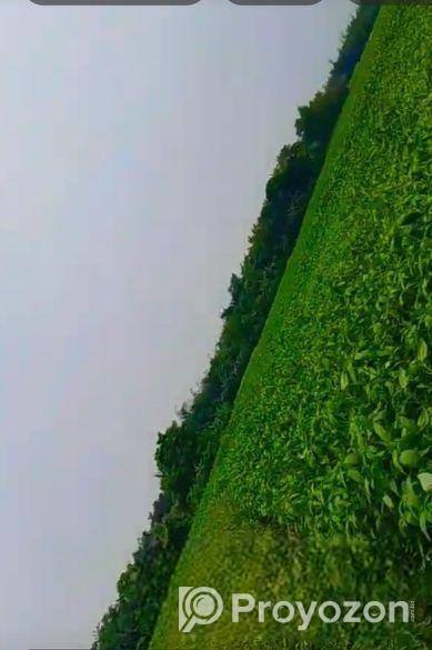 Land will be sold.