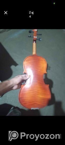 Violin