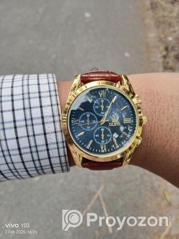OLEVS 2872 Watch For Men