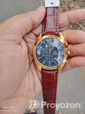 OLEVS 2872 Watch For Men