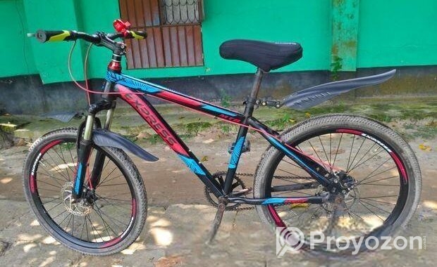 Express Bicycle