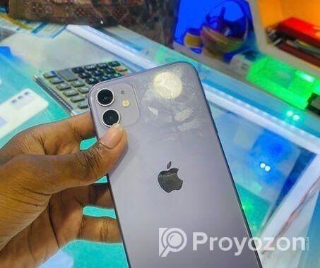 Apple iPhone 11 (Used)