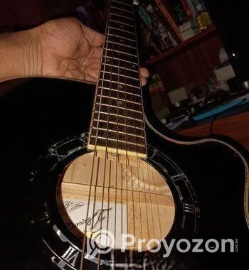Guitar Winfer China
