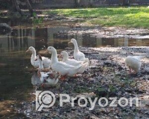 fitted-92_2025-10-22_10-58-13