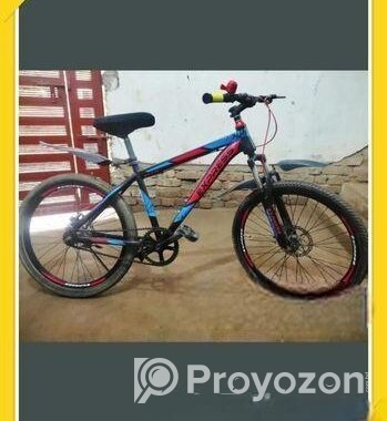 Express Bicycle