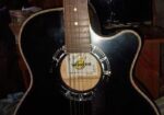 Guitar Winfer China