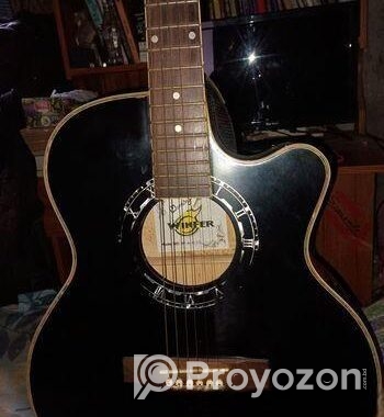 Guitar Winfer China