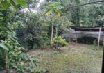 ৬ শতক পাকা রাস্তার সাথে জমি বিক্রি করা হবে