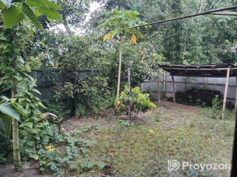 ৬ শতক পাকা রাস্তার সাথে জমি বিক্রি করা হবে