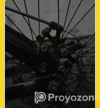 Express Bicycle