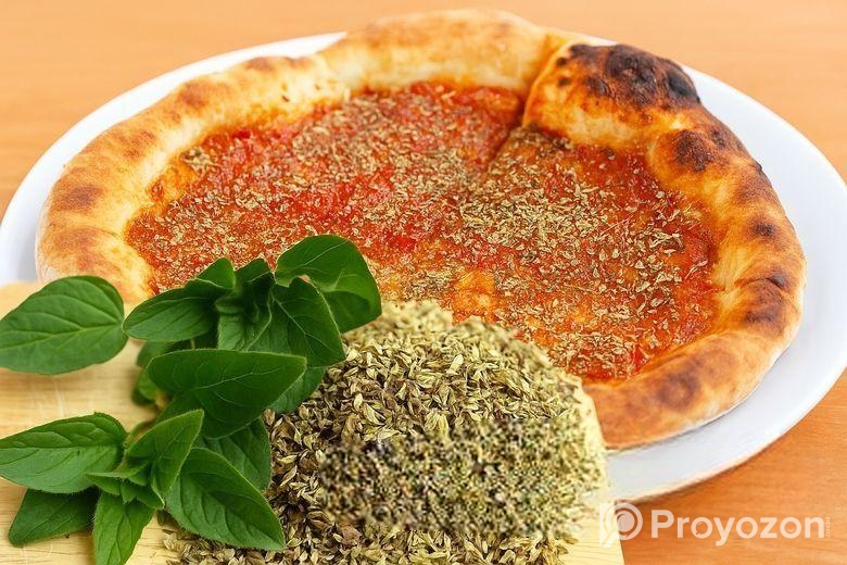 Oregano Saplings ওরেগানো চারা