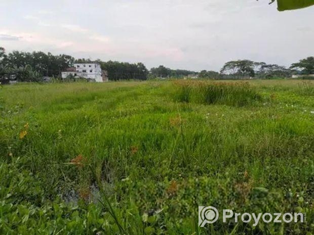 জরুরী ভিত্তিতে জমি বিক্রয় হইবে