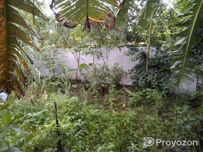 ৬ শতক পাকা রাস্তার সাথে জমি বিক্রি করা হবে