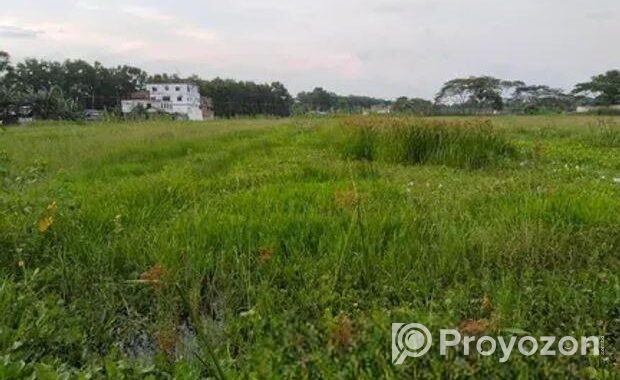 জরুরী ভিত্তিতে জমি বিক্রয় হইবে