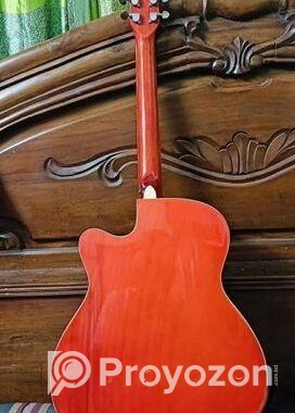 Tgm Guitar
