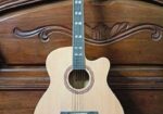 Tgm Guitar