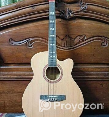 Tgm Guitar