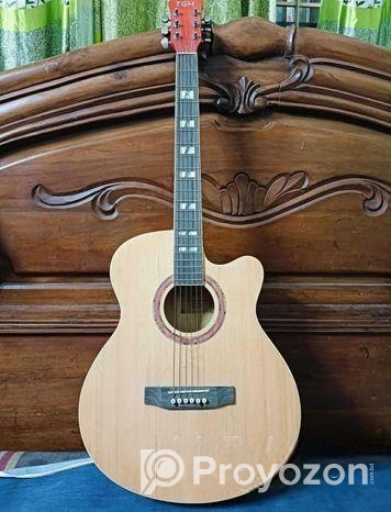 Tgm Guitar