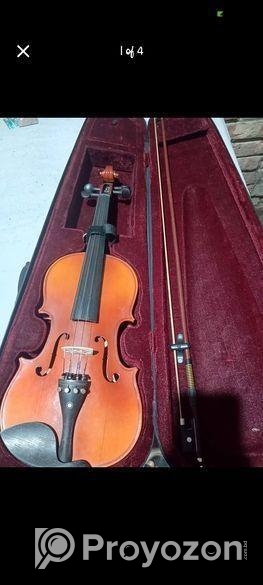 Violin