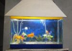 Aquarium Full Setup