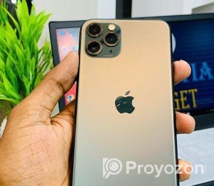 Apple iPhone 11 Pro 256 GB  (Used)