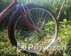 fitted_2025-10-29_22-18-16