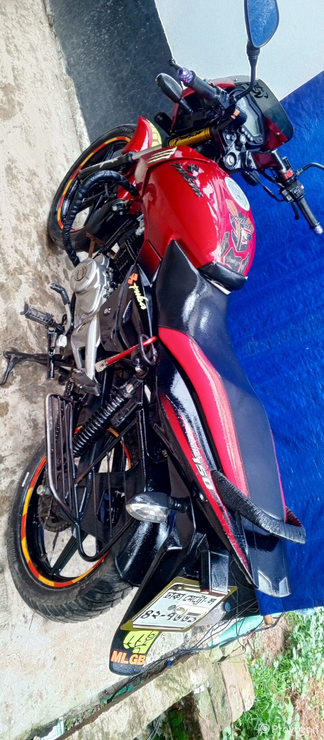 সেল আপডেট পালসার সিঙ্গেল ডিস্ক ২০১২ এর মডেল। ২০২৬ নভেম্বর কাগজ আ