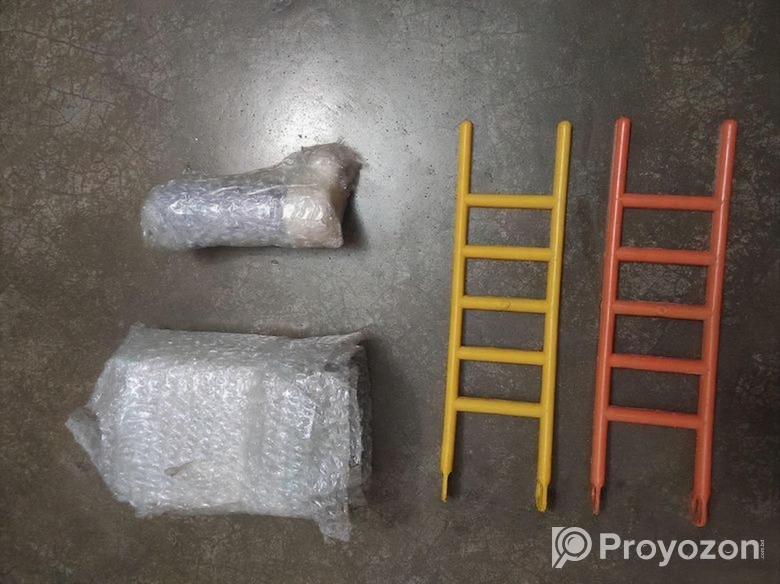 পাখির খাবার পাএ