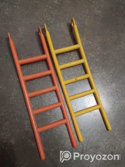 পাখির খাবার পাএ