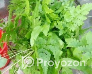 fitted-10_2025-11-23_09-48-37